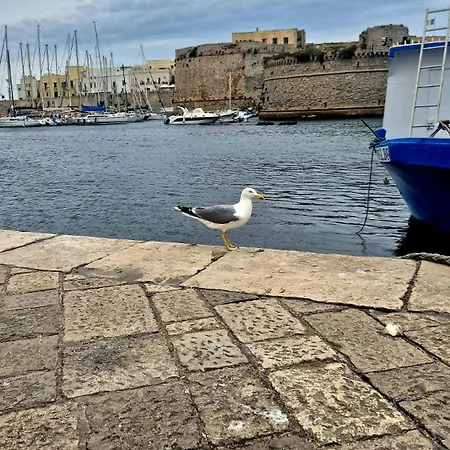 Couette-café Claire Gallipoli